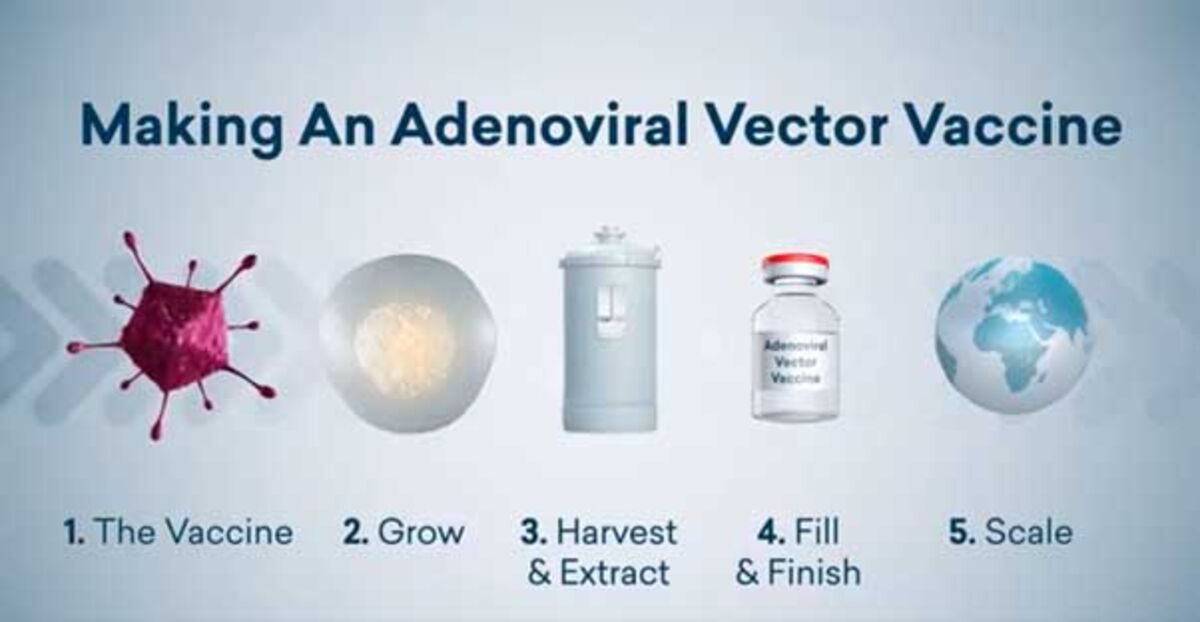 Lifecycle of Vaccine manufacturing Process.